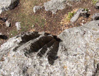 View from above of the remains of an exurgence